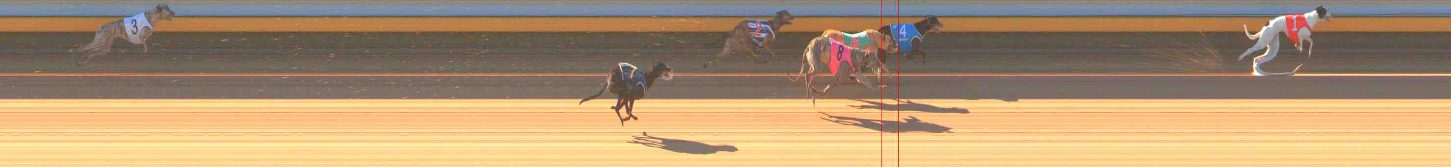 Photo finish for Warrnambool Race 1