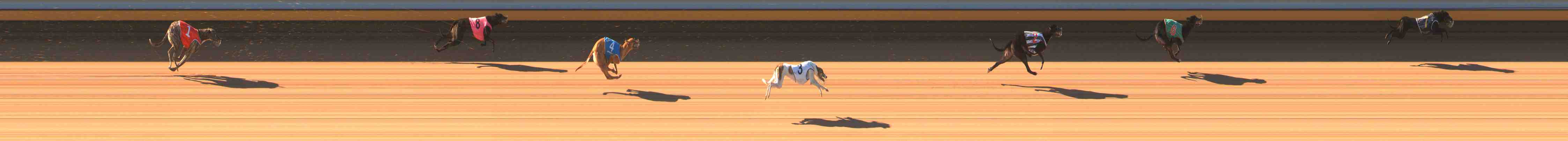 Photo finish for Warrnambool Race 2