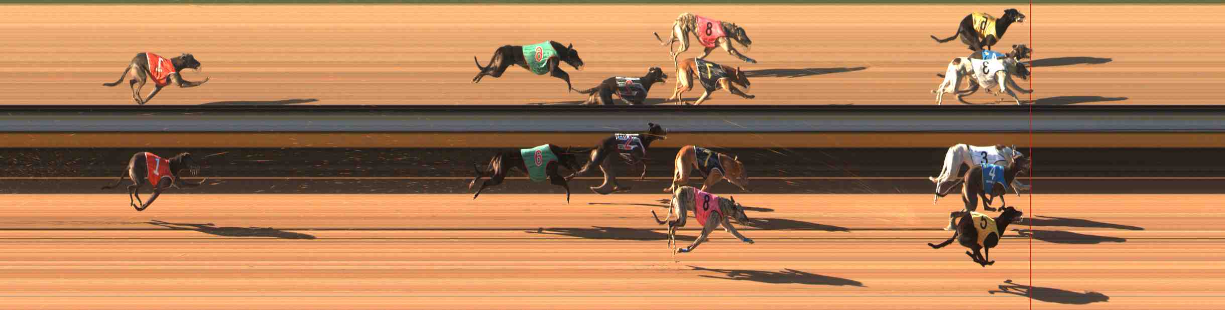 Photo finish for Warrnambool Race 3