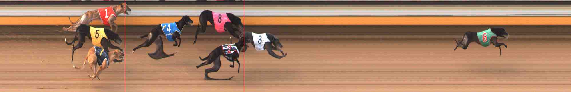 Photo finish for Warrnambool Race 4