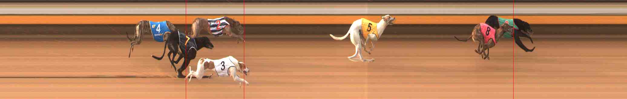 Photo finish for Warrnambool Race 5
