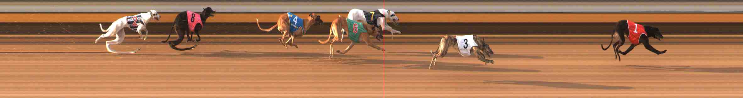 Photo finish for Warrnambool Race 6