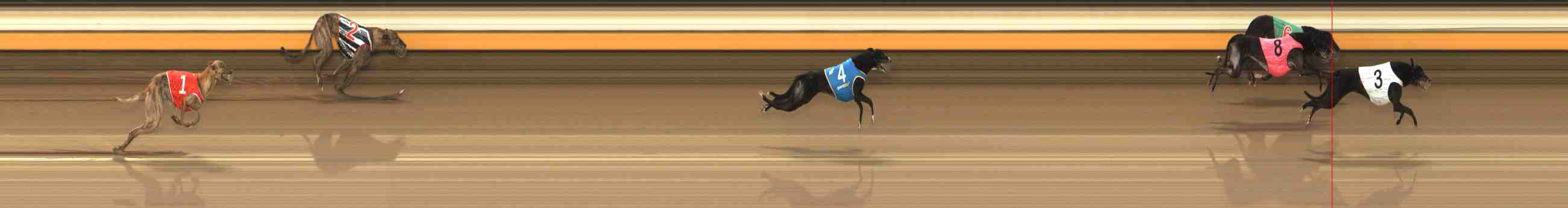 Photo finish for Warrnambool Race 7