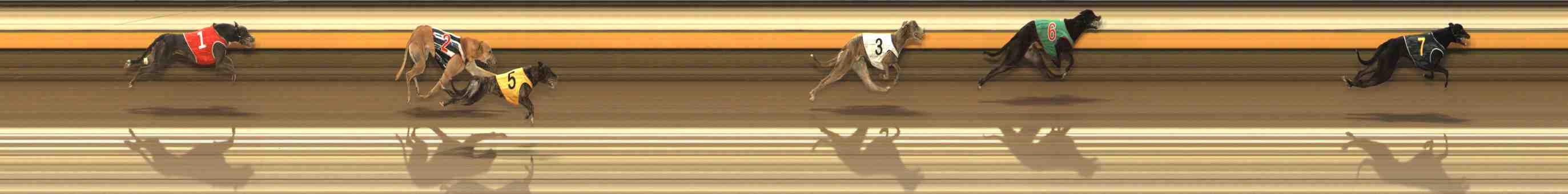 Photo finish for Warrnambool Race 8