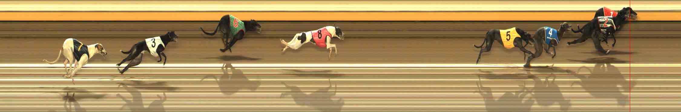 Photo finish for Warrnambool Race 9