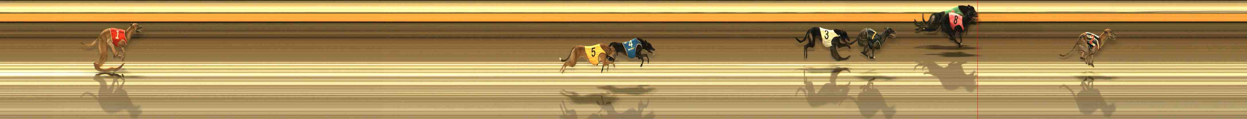 Photo finish for Warrnambool Race 10