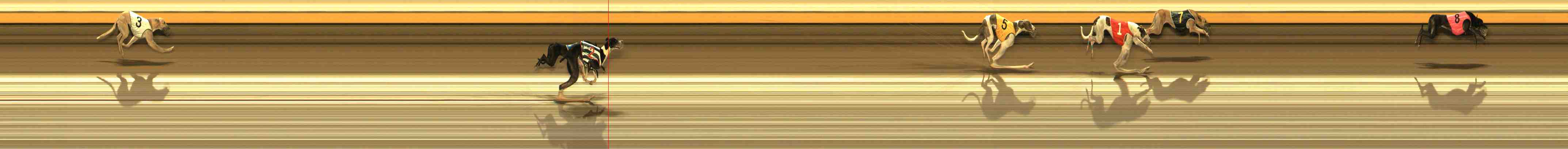 Photo finish for Warrnambool Race 11