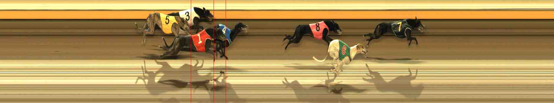 Photo finish for Warrnambool Race 13