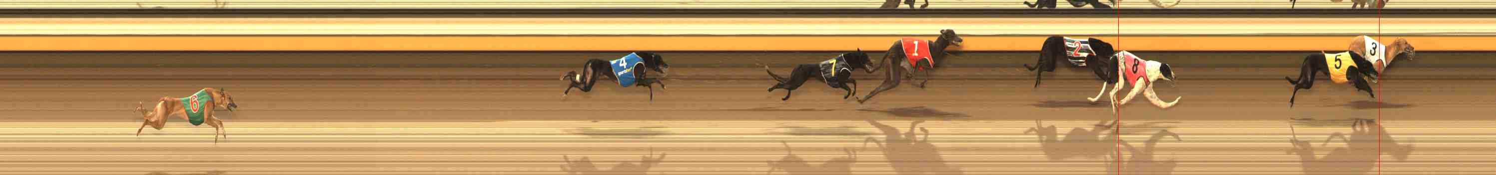 Photo finish for Warrnambool Race 1