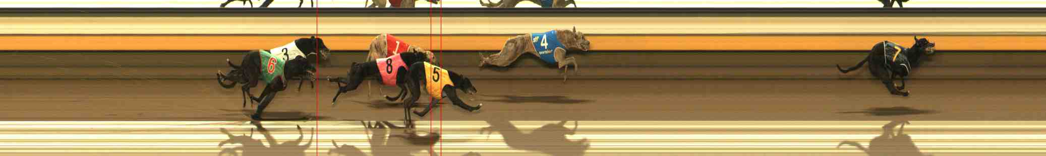 Photo finish for Warrnambool Race 2
