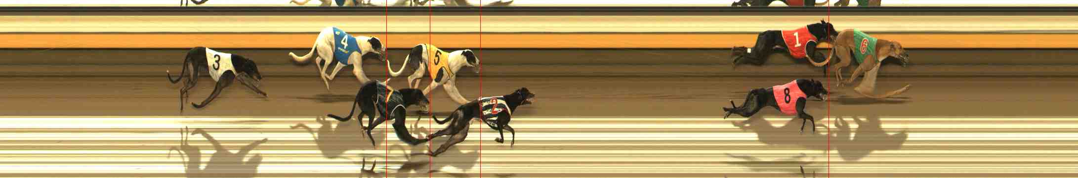 Photo finish for Warrnambool Race 3