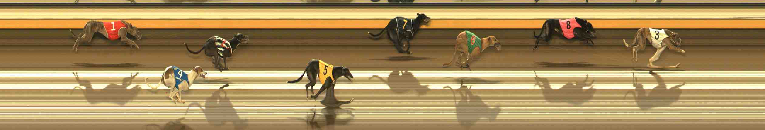 Photo finish for Warrnambool Race 4