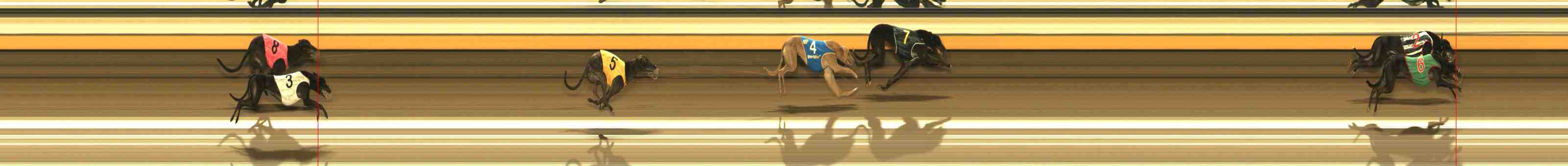 Photo finish for Warrnambool Race 5
