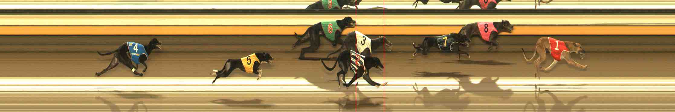 Photo finish for Warrnambool Race 6