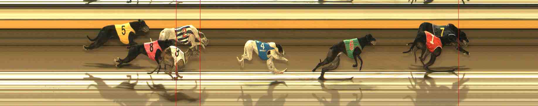 Photo finish for Warrnambool Race 7