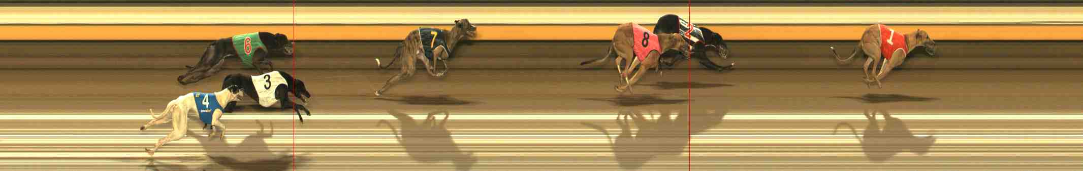 Photo finish for Warrnambool Race 8
