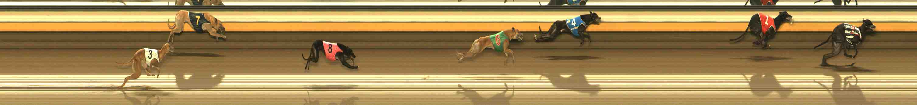 Photo finish for Warrnambool Race 9