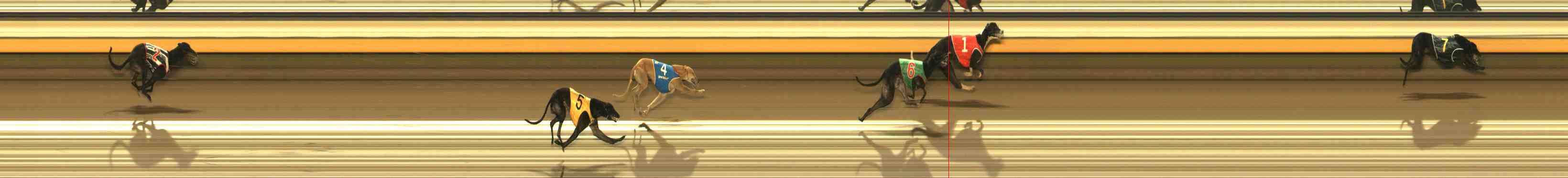 Photo finish for Warrnambool Race 10