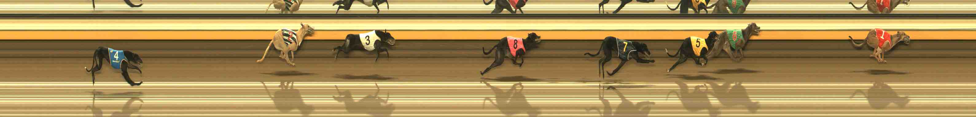 Photo finish for Warrnambool Race 11