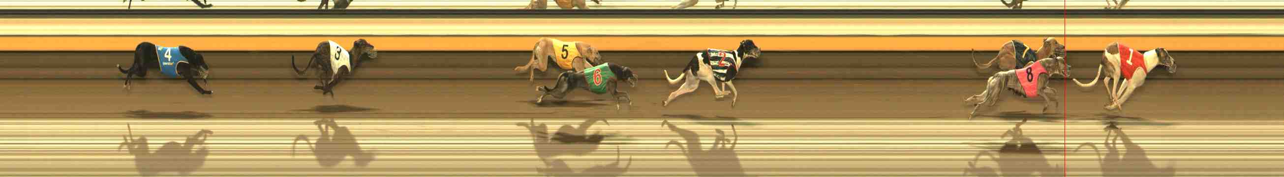 Photo finish for Warrnambool Race 12