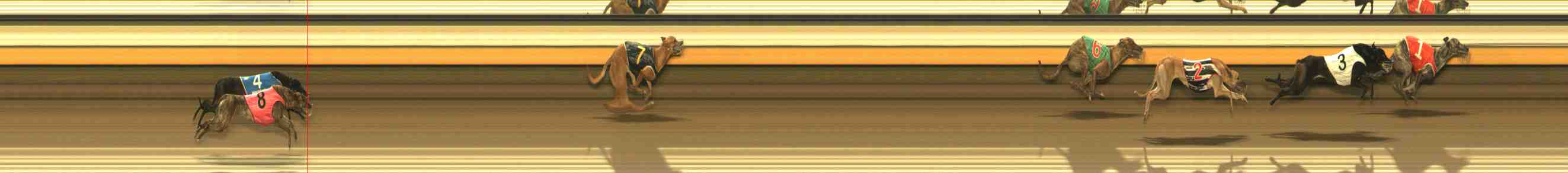 Photo finish for Warrnambool Race 13