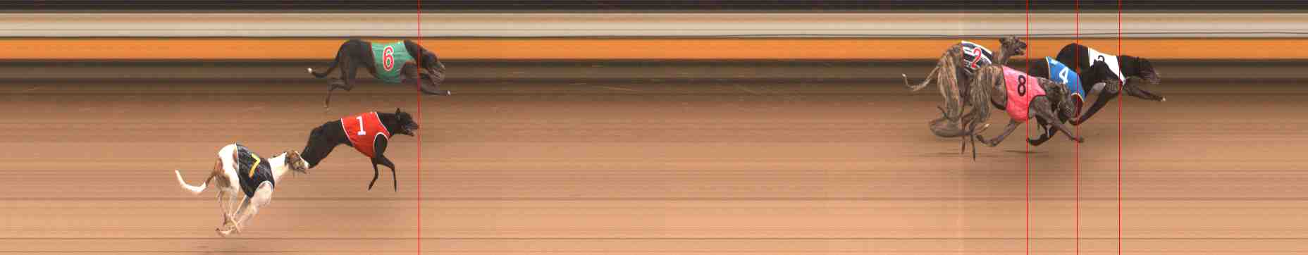 Photo finish for Warrnambool Race 1