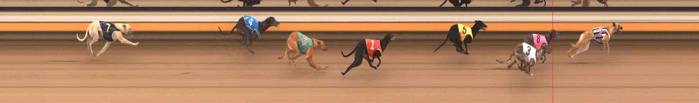 Photo finish for Warrnambool Race 2