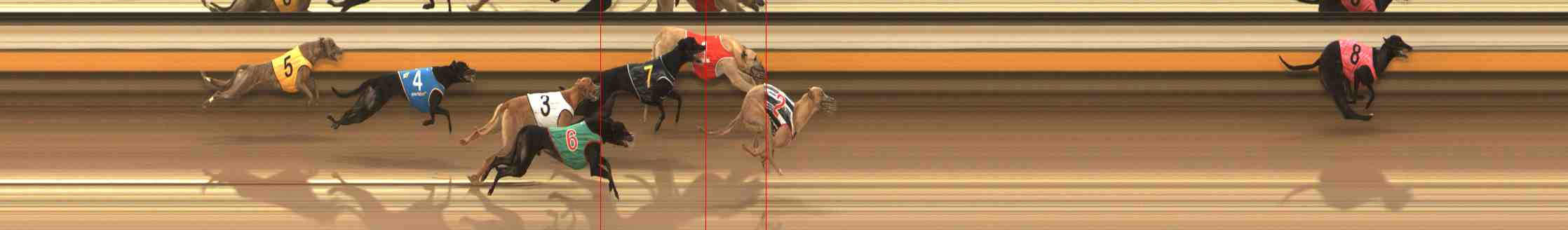 Photo finish for Warrnambool Race 3