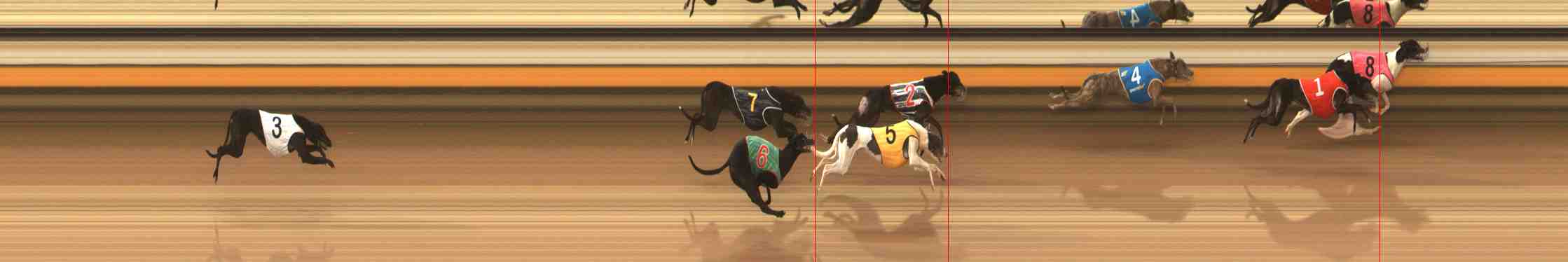 Photo finish for Warrnambool Race 4