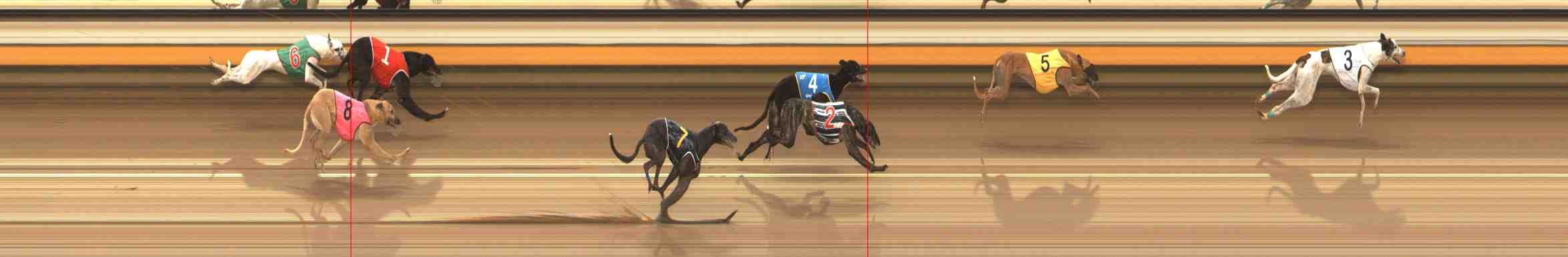 Photo finish for Warrnambool Race 5