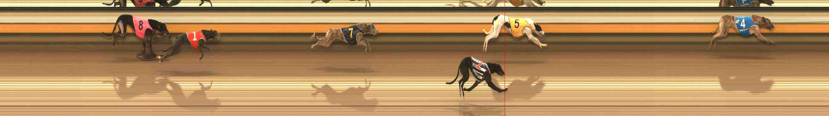 Photo finish for Warrnambool Race 6