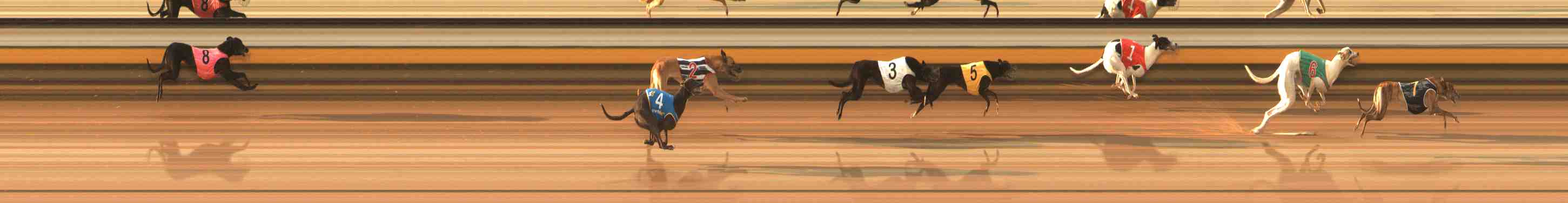 Photo finish for Warrnambool Race 7
