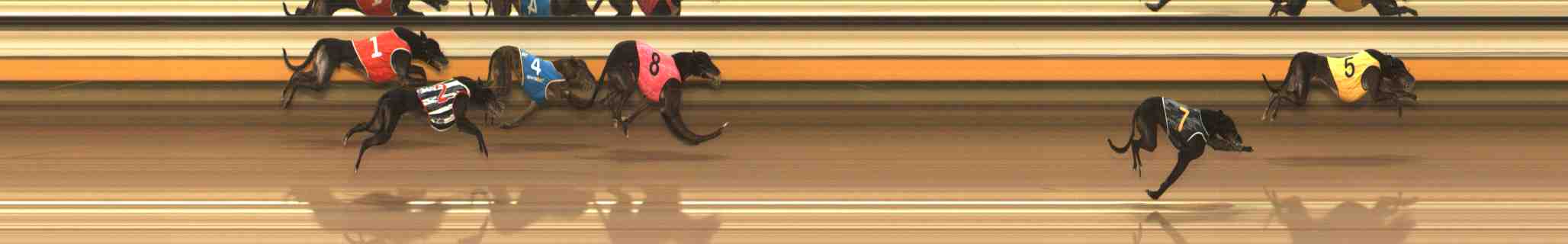 Photo finish for Warrnambool Race 8
