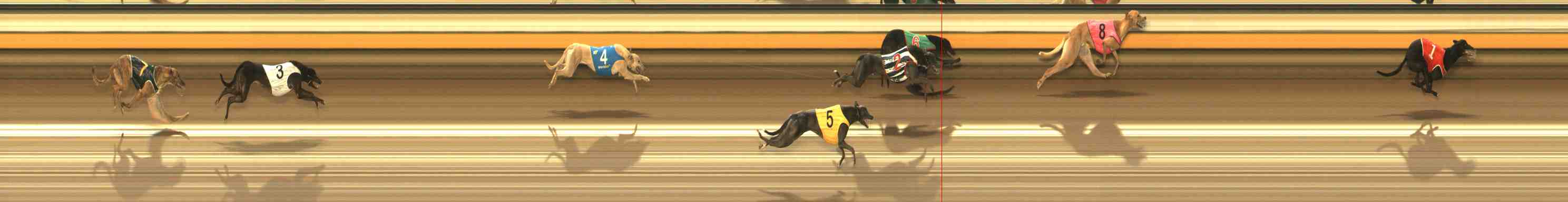 Photo finish for Warrnambool Race 9