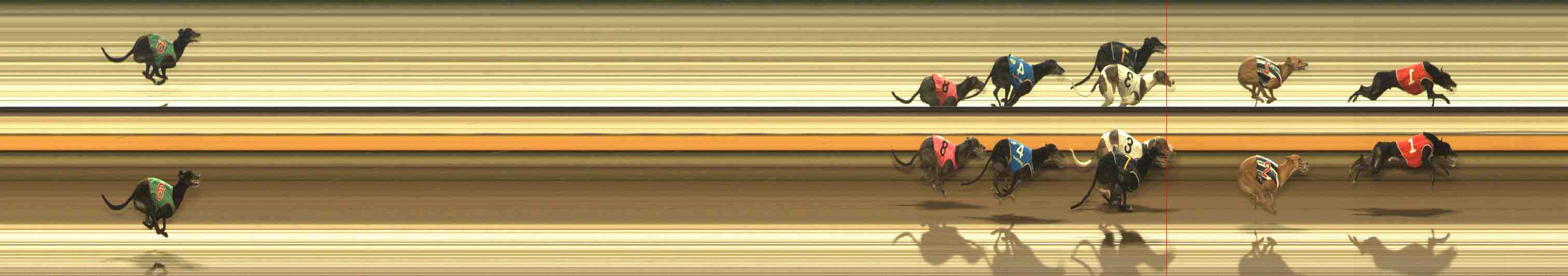 Photo finish for Warrnambool Race 10