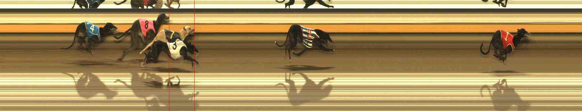 Photo finish for Warrnambool Race 11