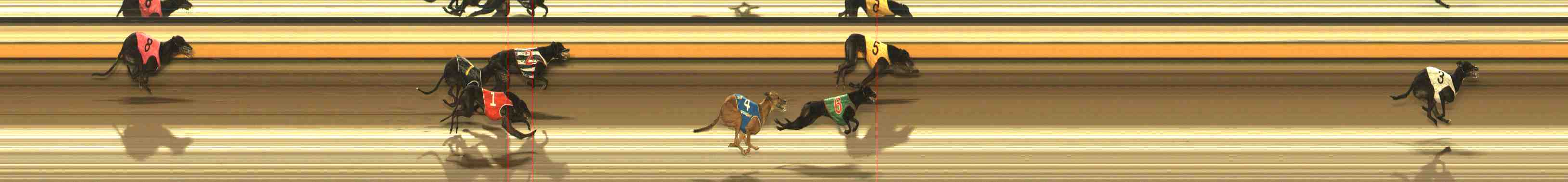 Photo finish for Warrnambool Race 12