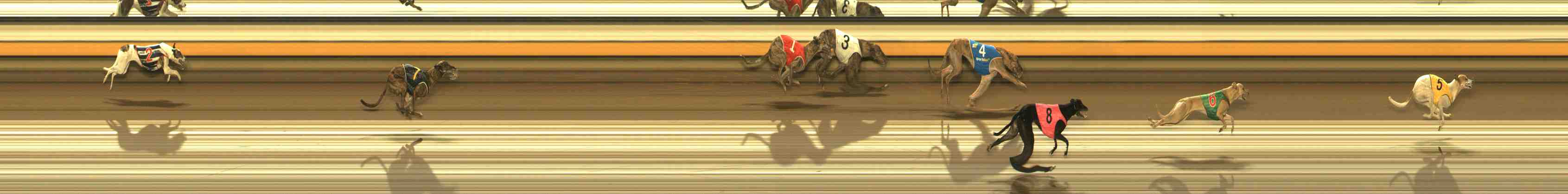 Photo finish for Warrnambool Race 13