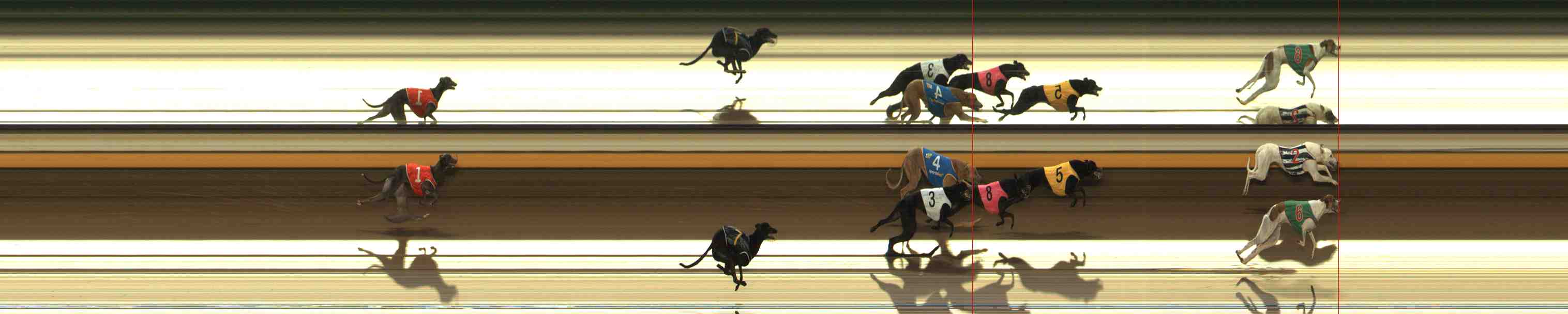 Photo finish for Warrnambool Race 1