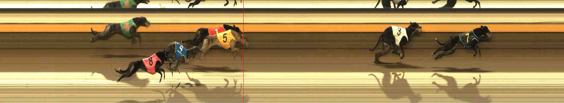 Photo finish for Warrnambool Race 2