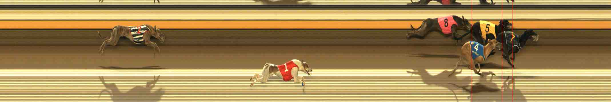 Photo finish for Warrnambool Race 3