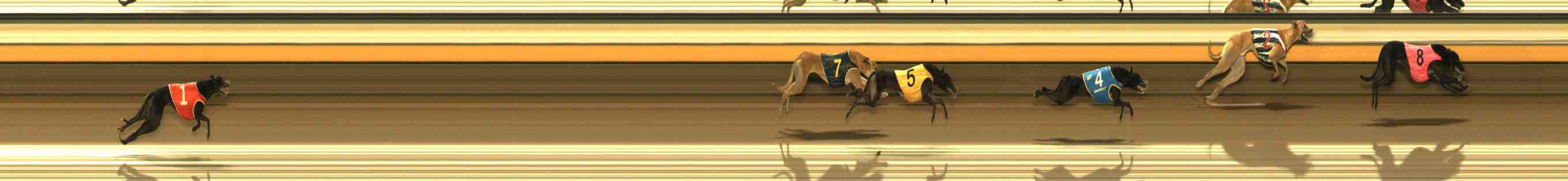 Photo finish for Warrnambool Race 4