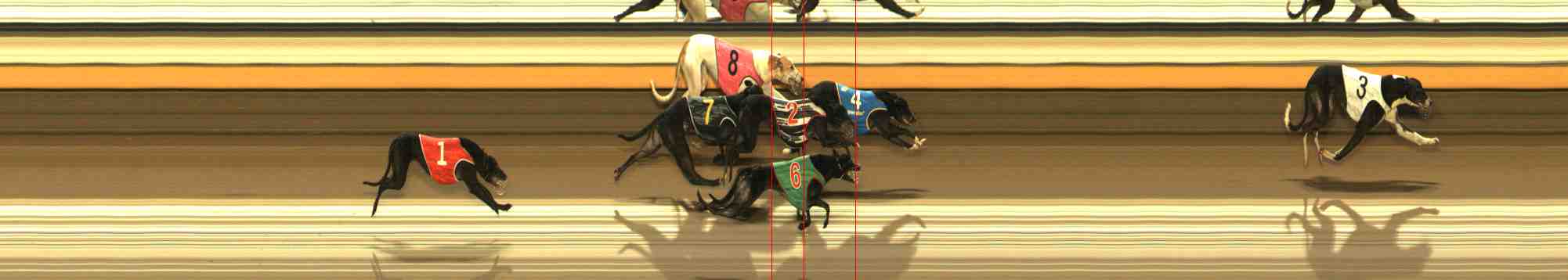 Photo finish for Warrnambool Race 5