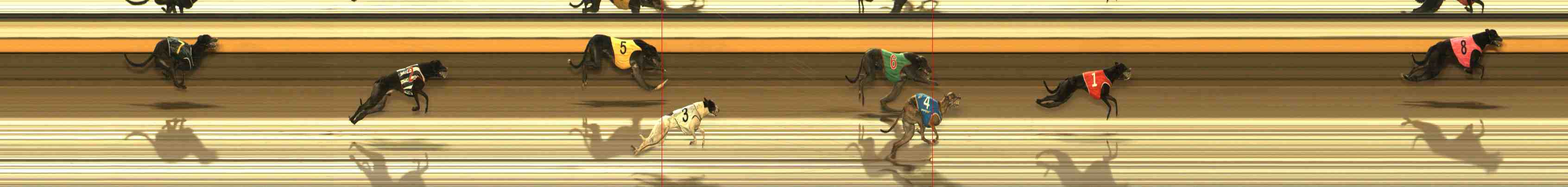Photo finish for Warrnambool Race 6