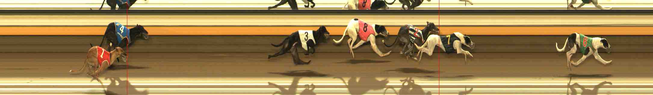 Photo finish for Warrnambool Race 7