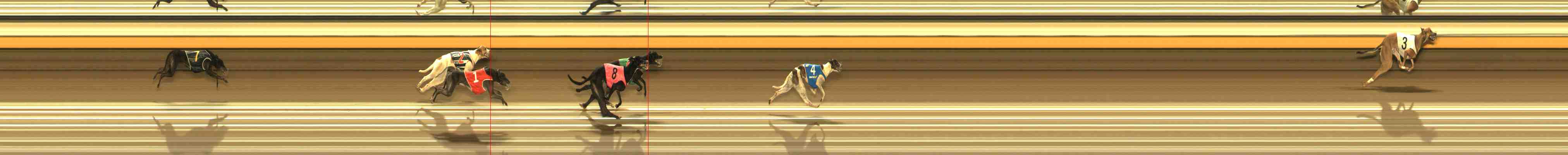 Photo finish for Warrnambool Race 8