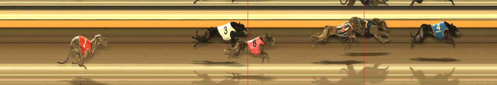 Photo finish for Warrnambool Race 9