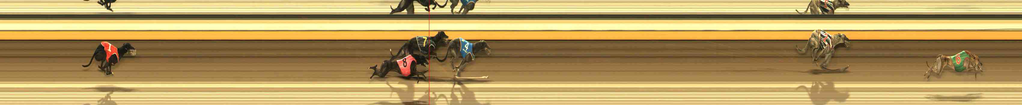 Photo finish for Warrnambool Race 10