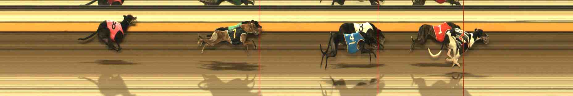Photo finish for Warrnambool Race 11