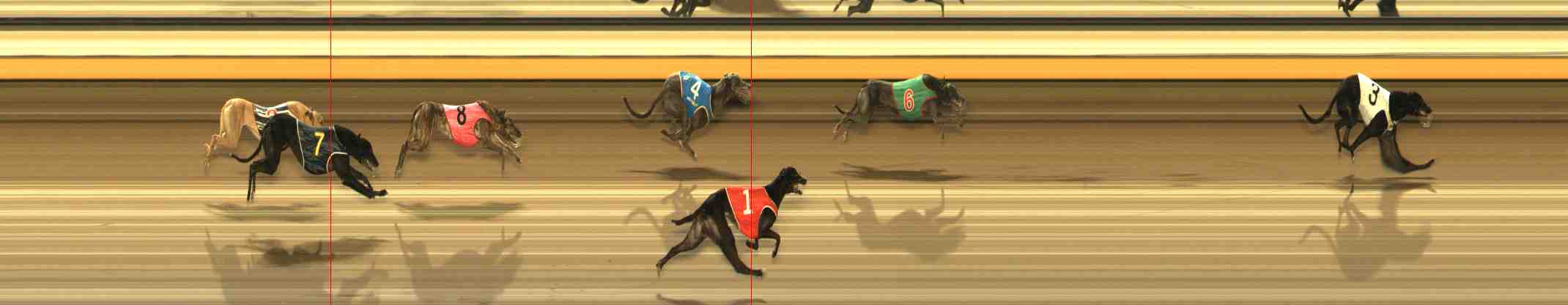 Photo finish for Warrnambool Race 12